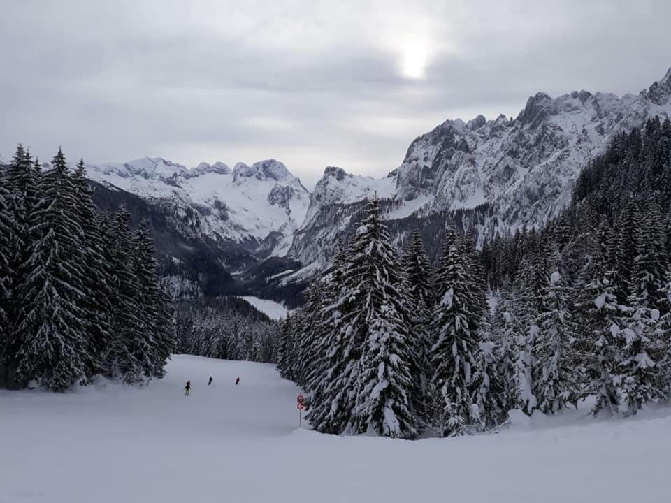 Dachstein view ski apartment Gosau Exterior foto