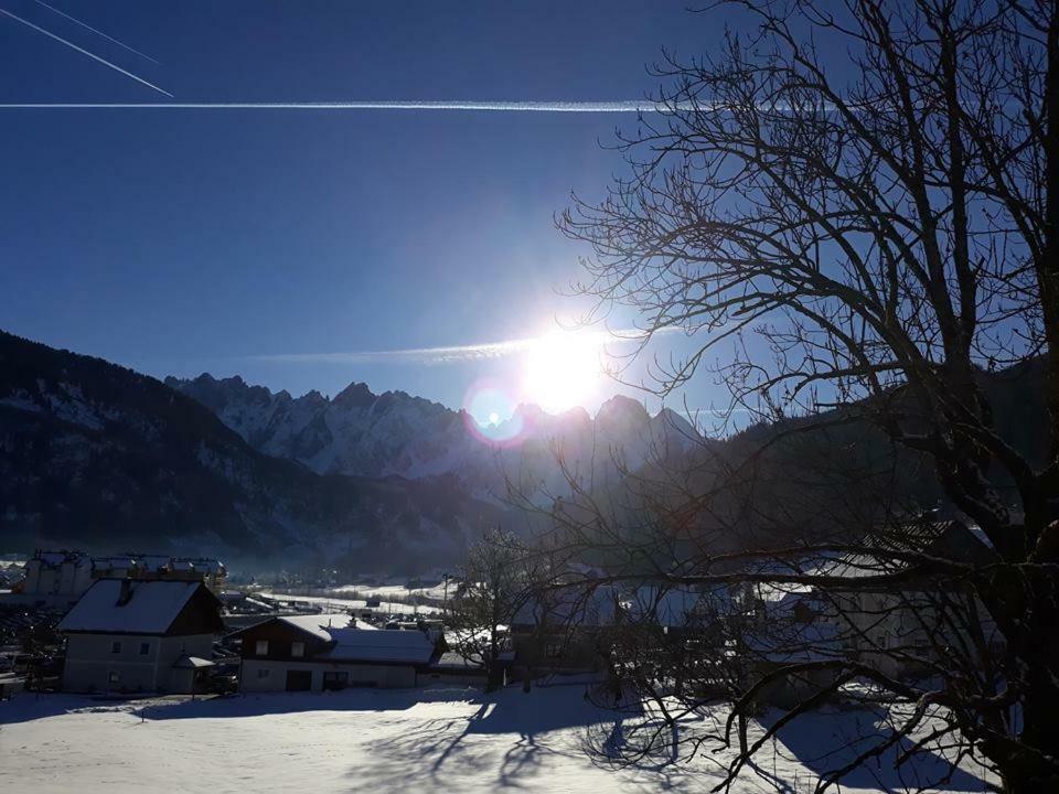 Dachstein view ski apartment Gosau Exterior foto